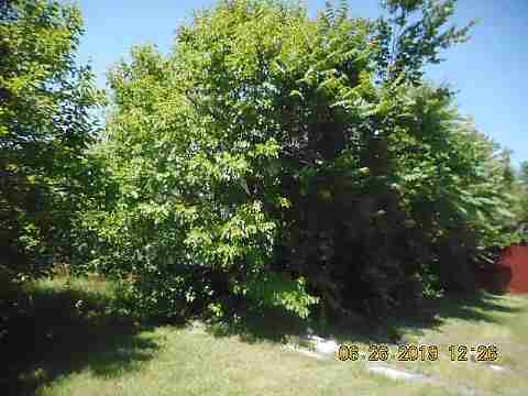 20103 Cardoni (4)_m.jpg